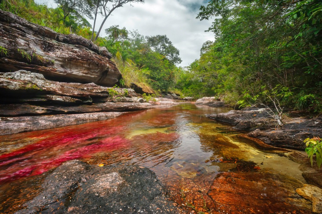To get to Cano Cristales you have to fly to La Macarena