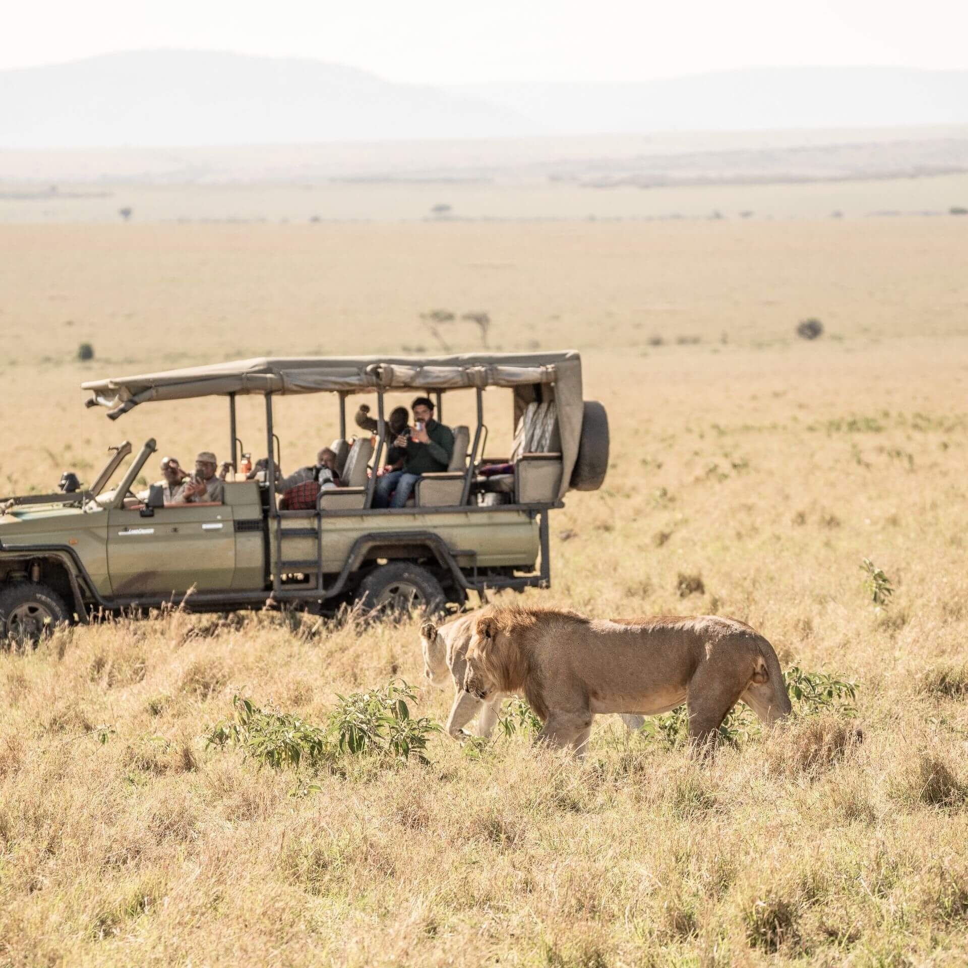 How to plan a trip to Masai Mara in Kenya - Traveler´s Buddy